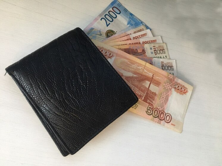 Средняя зарплата работников в Воронежской области составила более 73 тысяч рублей