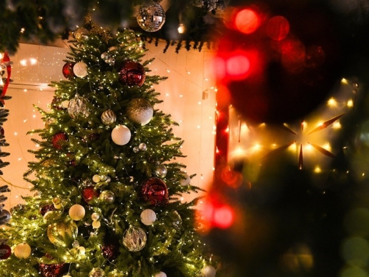 В Волгограде конкурс «Ярче всех» собирает рассказы о новогодних елках