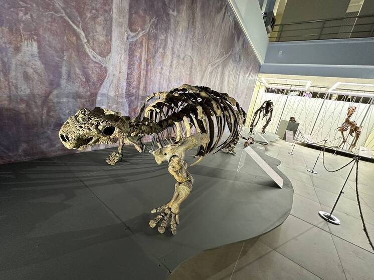 В Салехарде начала работу выставка «Эпоха динозавров»