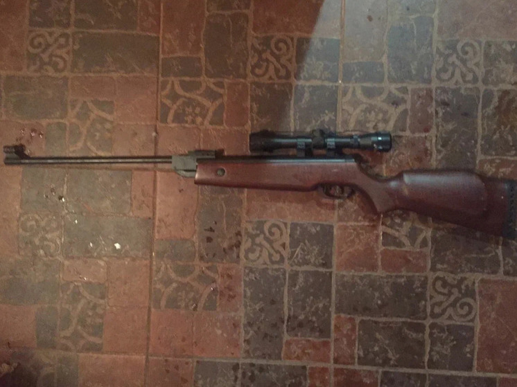 Почти 6 000 патронов изъяли сотрудники Росгвардии у рязанцев за 2025 год