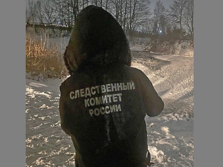 Два мальчика провалились под лед и погибли на реке в воронежском селе