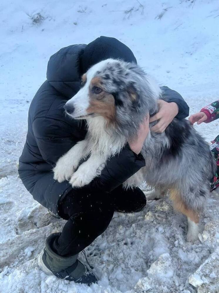 Земляки вернули калужанину друга