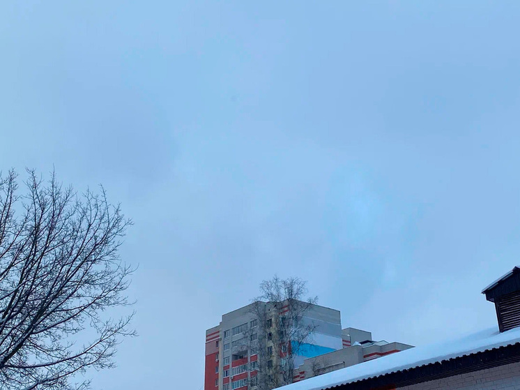 4 января в Липецкой области ожидается до 5 градусов мороза