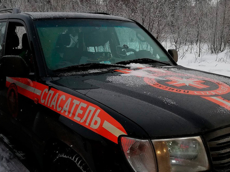 Липецкий отряд «ЛизаАлерт» отмечает рост доверия и числа спасенных жизней