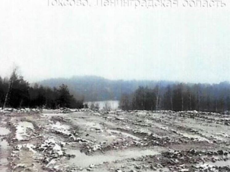 Владелец участка в Токсово ликвидировал свою незаконную свалку