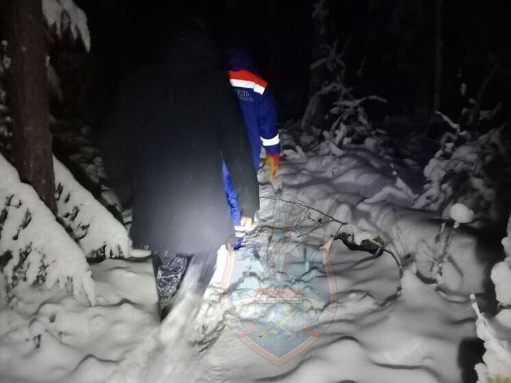 Спасатели не дали замерзнуть человеку в лесу в Кировском районе