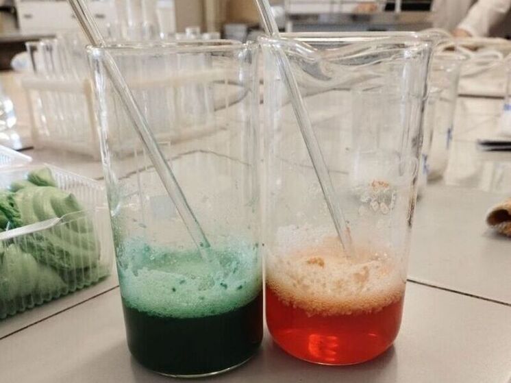 Челябинские биотехнологи предложили полезную замену чипсам и сладостям для подростков