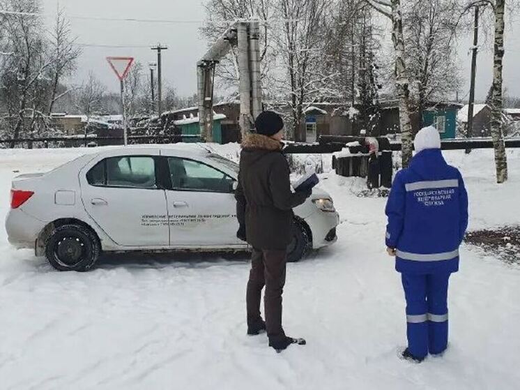 Ветеринары в праздники объезжают охотничьи угодья Ленобласти