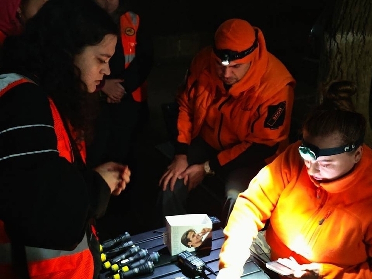 В 2025 году в Ростовской области волонтерам удалось разыскать 661 пропавшего живыми