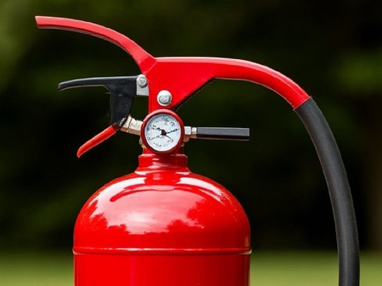 Семью с десятью детьми спасли при пожаре в Благовещенске