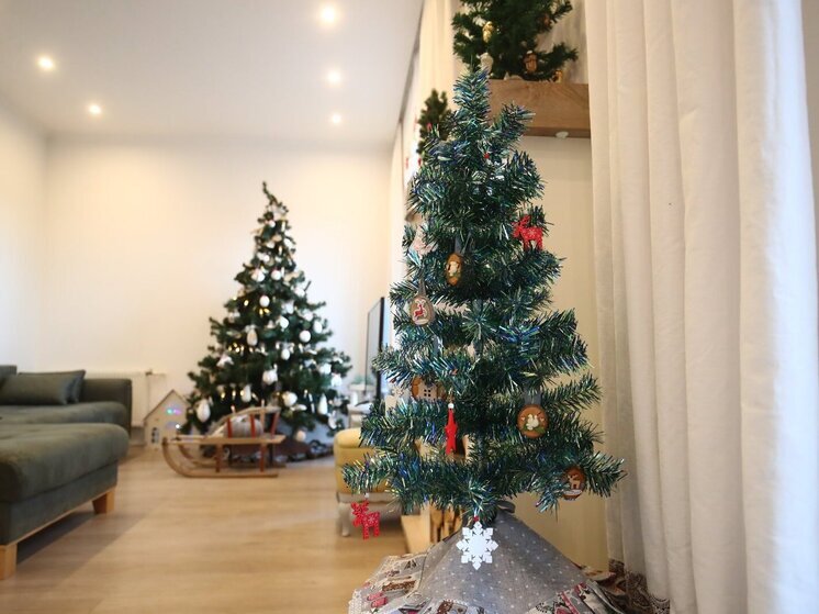 В чем опасность живой и искусственной елей для аллергиков, узнали волгоградцы