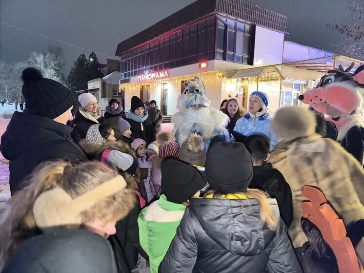 В Арзгирском округе Ставрополья прошла новогодняя акция «Как блестит огнями ёлка»