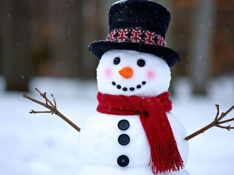 Ярославцам рассказали, как в новогодние каникулы сэкономить на спортзале