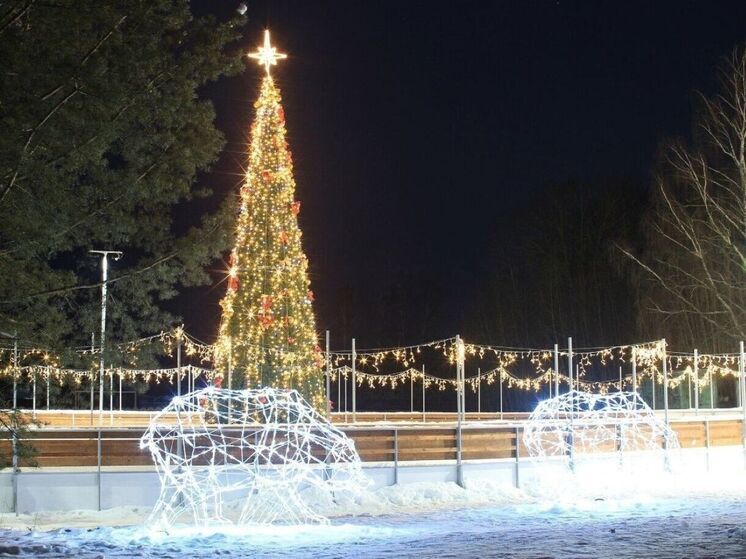 Мэрия рассказала, во что обошлось казне новогоднее украшение города