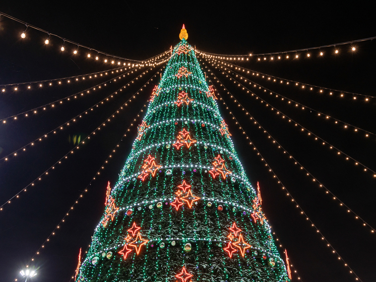 В Москве не прогнозируют сильных рождественских морозов