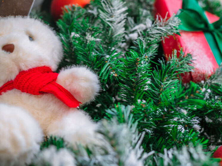 Вера в чудо: транспортная полиция Тынды исполнила желание школьницы