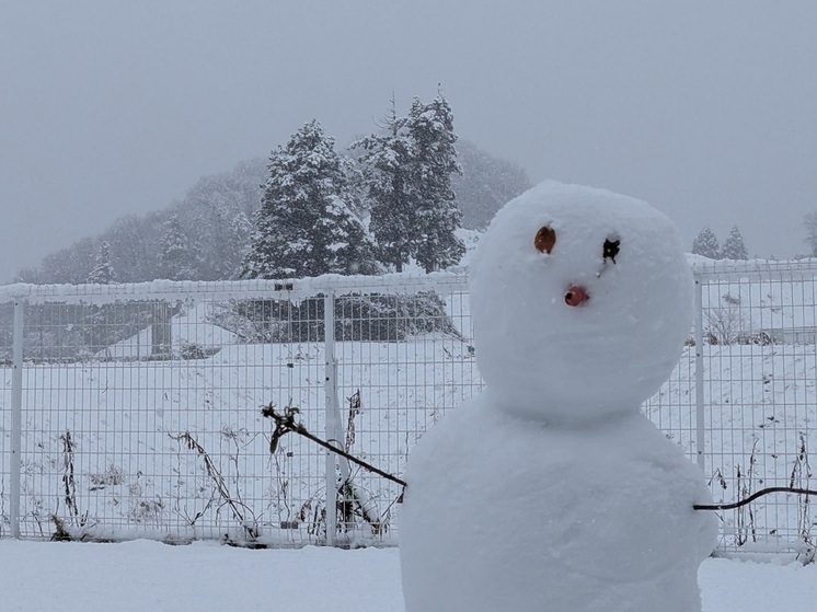 Выпускник школы Нарьян-Мара слепил снеговика в Японии