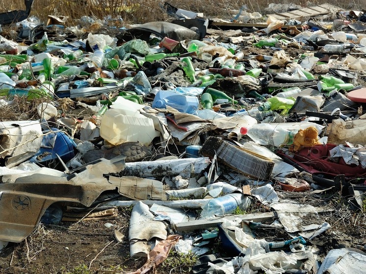 Во Владивостоке подрядчику дали считаные дни, чтобы убрать мусор