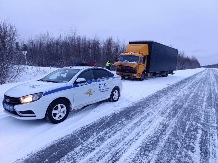 Свердловские полицейские в морозы помогли водителю сломавшегося «КамАЗа»