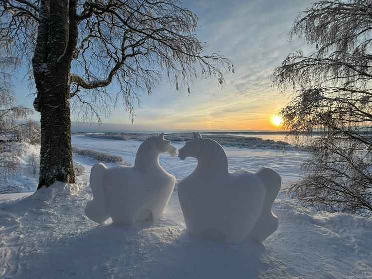 Жителей Верхней Тоймы радует арт-объект из снега