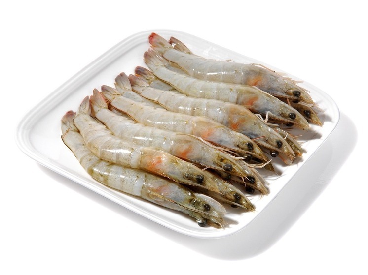 В Приморье запретят ловлю креветки на несколько месяцев