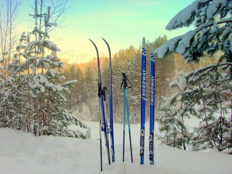 Более 8 тысяч омичей сдали нормативы ГТО в 2025 году