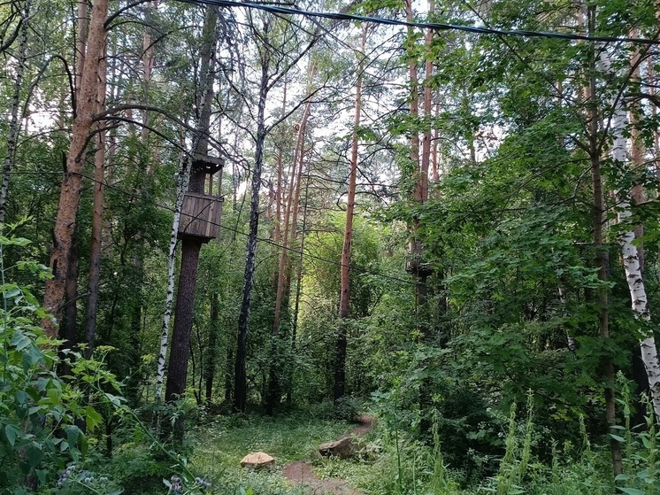 Пропавшего в декабре свердловчанина нашли мертвым