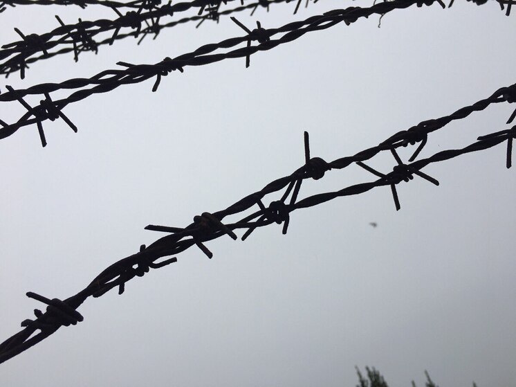 Владелец «Русского аппетита» пробудет в воронежском СИЗО еще полгода