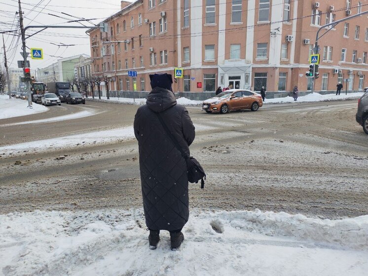 Снег и сильный ветер: какой будет погода 4 января в Пензенской области