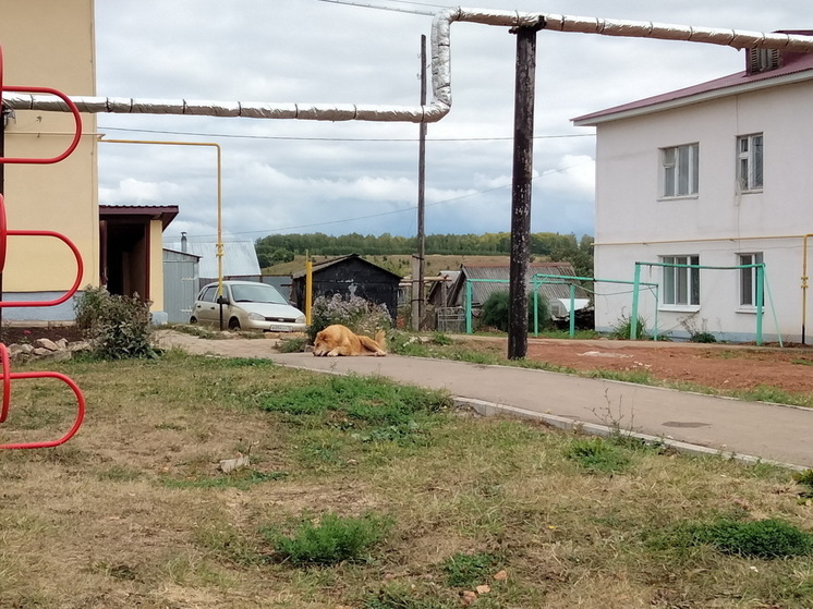 Прокуратура помогла жительнице Марий Эл защитить право на квартиру