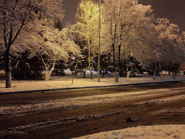 Мокрый снег с дождем ожидается в ДНР 4 января