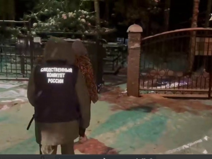 Осквернение Сестрорецкого кладбища парой петербуржцев стало уголовным делом