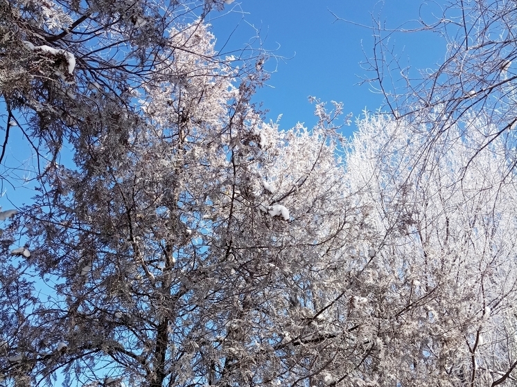 Сила магнитной бури 5 января составит 3 балла: подходящий день для финансовых операций