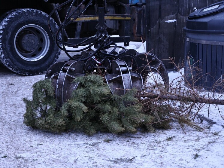 На Южном Урале мусоровозы усиливают уборку крупногабаритного мусора