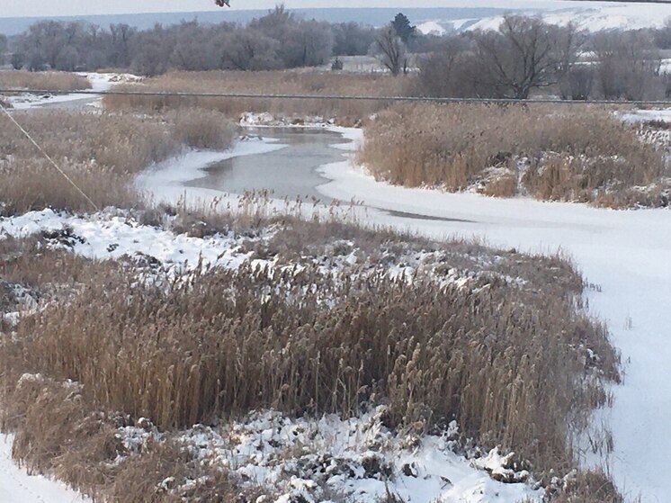 Из трех попавших под лед мальчиков на воронежской реке одному удалось спастись