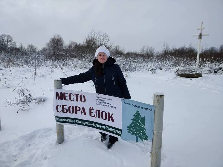 В Киришах отвели 7 мест для приема новогодних елок