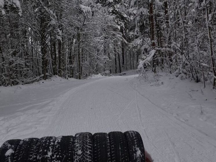 В природном парке «Токсовский» приготовили лесную трассу для лыжников