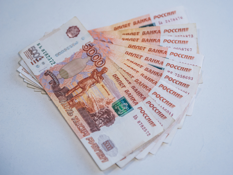 На что новосибирцам потратить 13-ю зарплату: советы эксперта