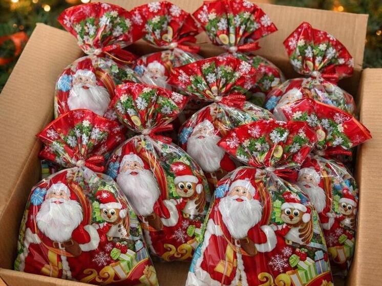 Жители Запорожской области получили новогодние подарки от кировчан