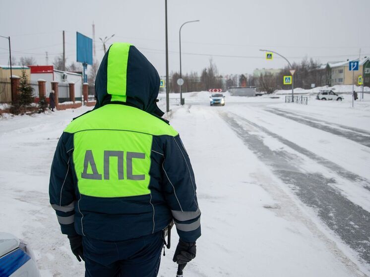 В Приуралье водитель снегохода ответит за отказ от проверки на трезвость