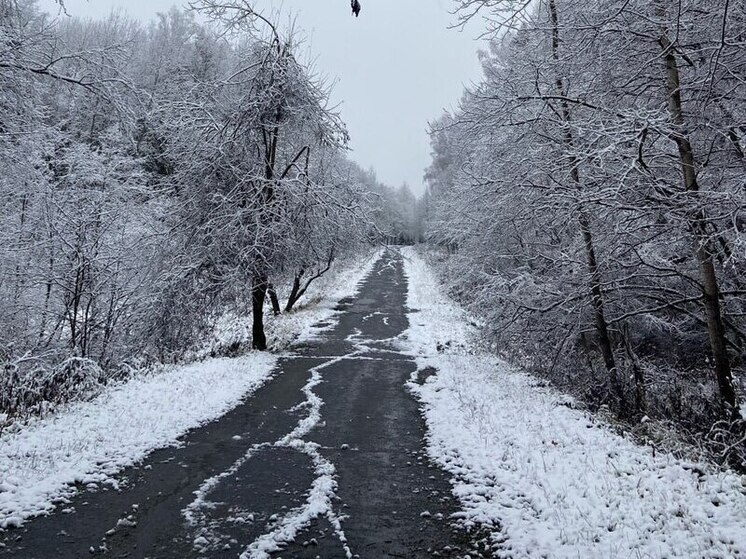 Столица и область проснулись под рекордными для начала января сугробами.