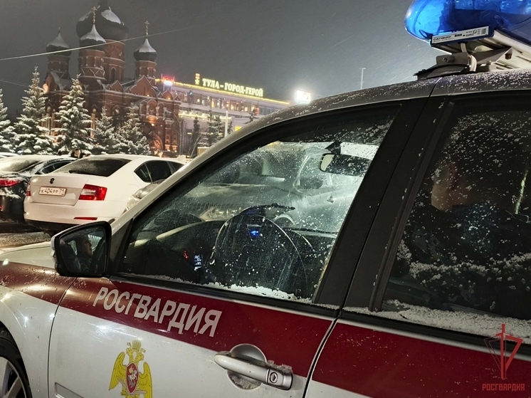 Тульская Росгвардия за неделю пресекла 28 правонарушений