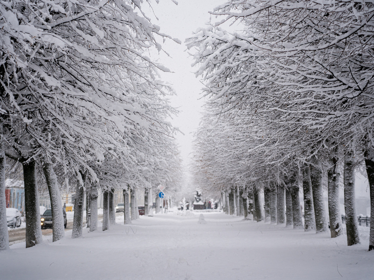 Прогноз погоды в Тверской области на следующую неделю