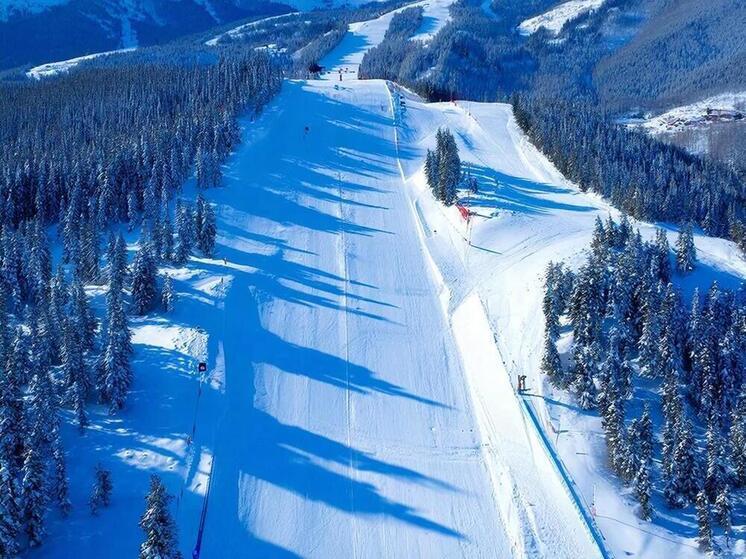 Юных сахалинцев приглашают на детские забеги Троицкого лыжного марафона 15 марта