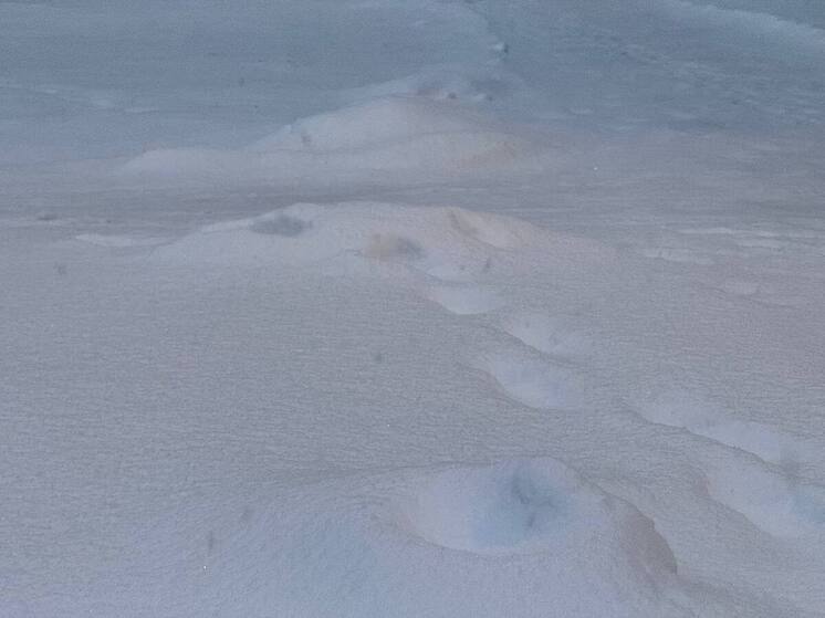 Мурманск побил температурный и осадочный рекорды за 2025 год