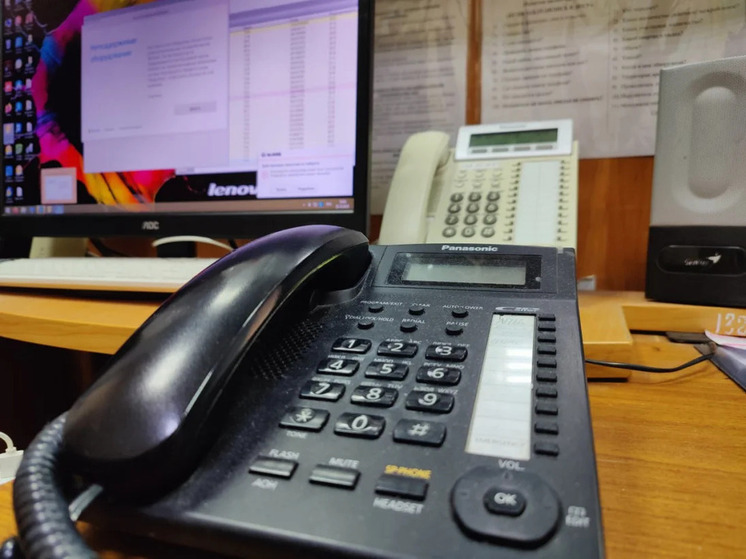 Нижегородцы стали бережнее относиться к лесам