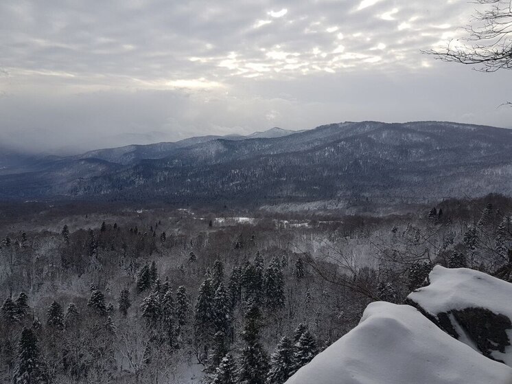 Власти предупредили о сохранении лавинной опасности в горах Сочи
