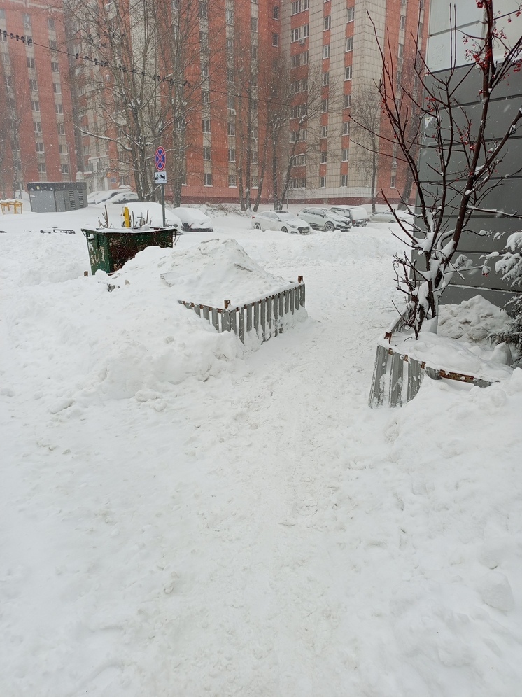 Метель и непогода парализовала Казань