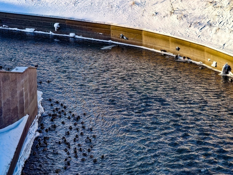 В Томске с 5 по 11 января ожидаются обильный снег и резкое похолодание