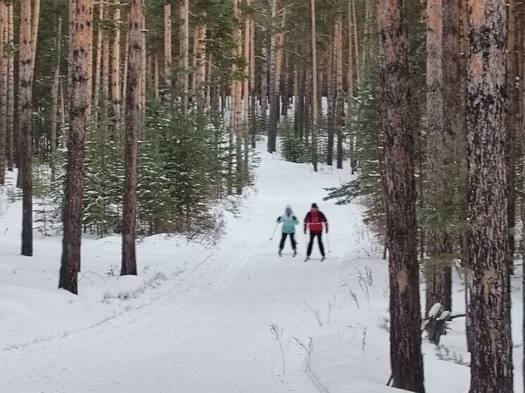 В Бурятии 5 января прогнозируются сильный ветер, метели и гололедица